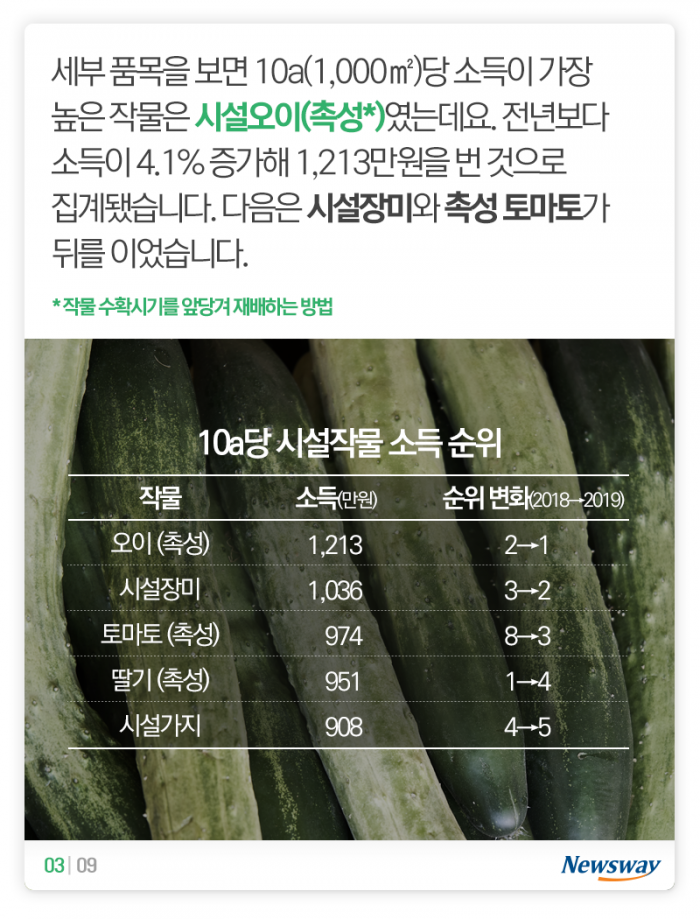 돈이 제일 많이 된 농산물은 ‘이것’ 기사의 사진