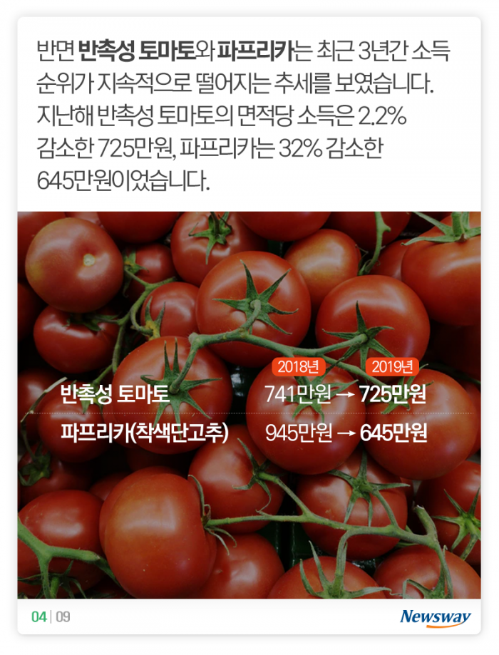돈이 제일 많이 된 농산물은 ‘이것’ 기사의 사진