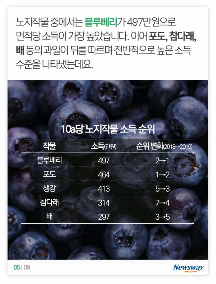 돈이 제일 많이 된 농산물은 ‘이것’ 기사의 사진