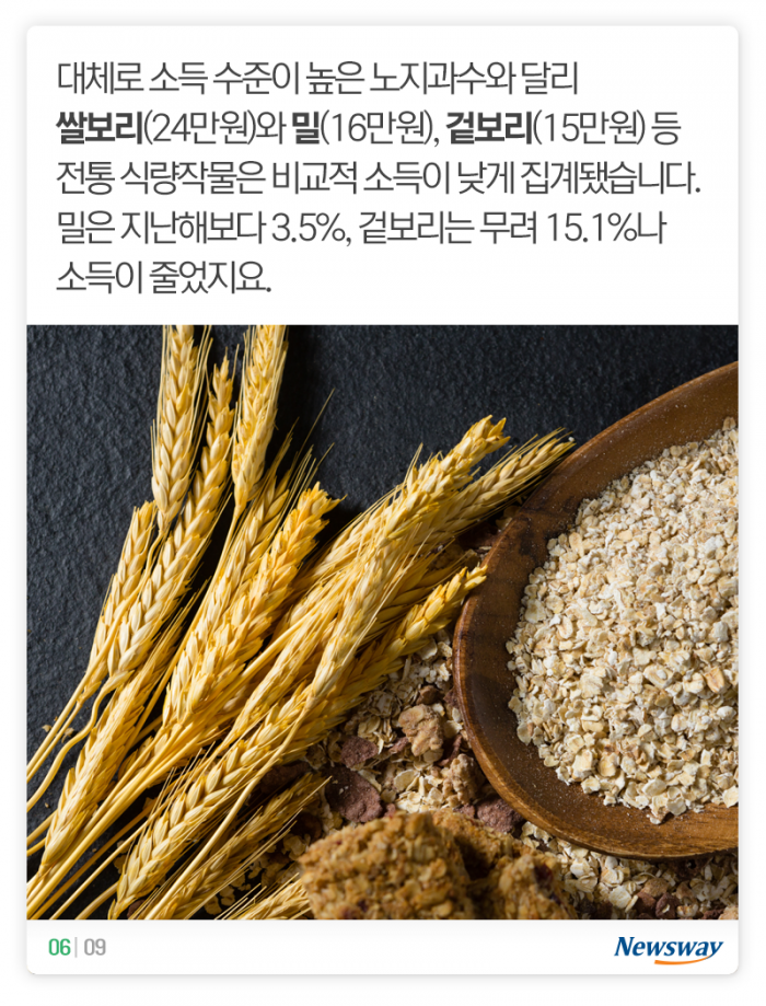 돈이 제일 많이 된 농산물은 ‘이것’ 기사의 사진