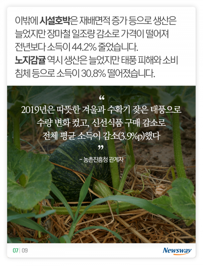 돈이 제일 많이 된 농산물은 ‘이것’ 기사의 사진