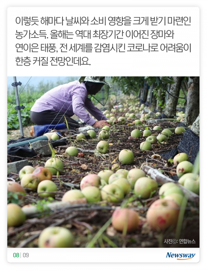 돈이 제일 많이 된 농산물은 ‘이것’ 기사의 사진