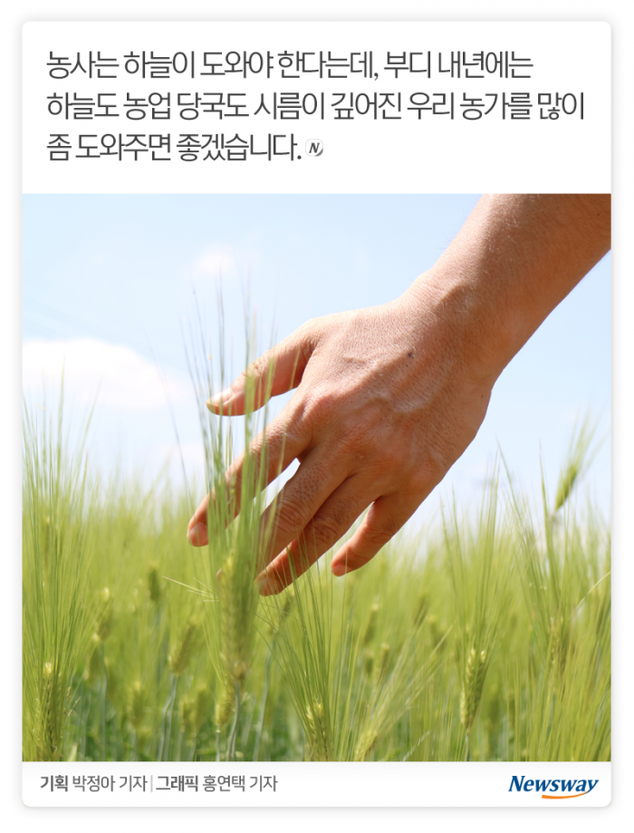 돈이 제일 많이 된 농산물은 ‘이것’ 기사의 사진