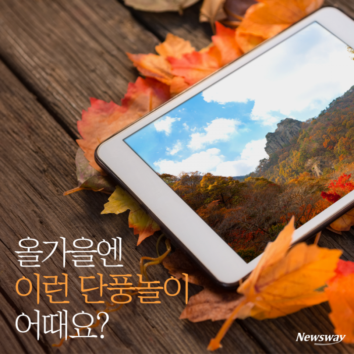 올가을엔 이런 단풍놀이 어때요? 기사의 사진
