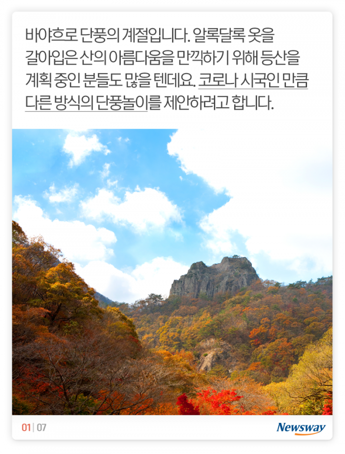 올가을엔 이런 단풍놀이 어때요? 기사의 사진