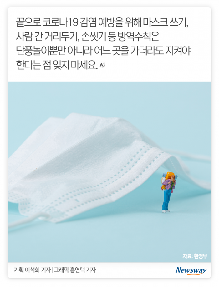 올가을엔 이런 단풍놀이 어때요? 기사의 사진
