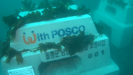 포스코는 제강 슬래그(쇳물의 불순물을 제거하는 공정에서 발생하는 찌꺼기)로 제조한 트리톤어초를 활용한 해양 생태계 복원 및 블루카본 고정에 기여하는 바다숲 조성 활동이 인정받아 지속가능경영 부문 최우수 기업으로 선정됐다.