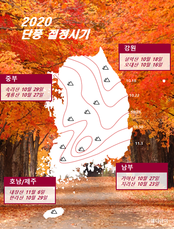 단풍 절정시기. 사진=웨더아이
