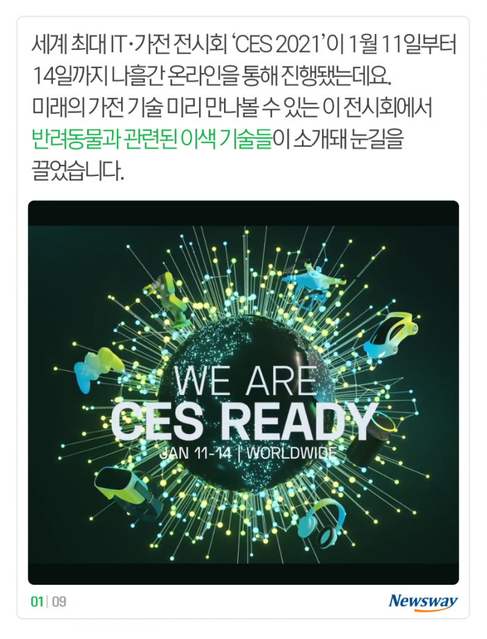 “멍멍” 개 짖는 소리, 이게 해석이 된다고? 기사의 사진