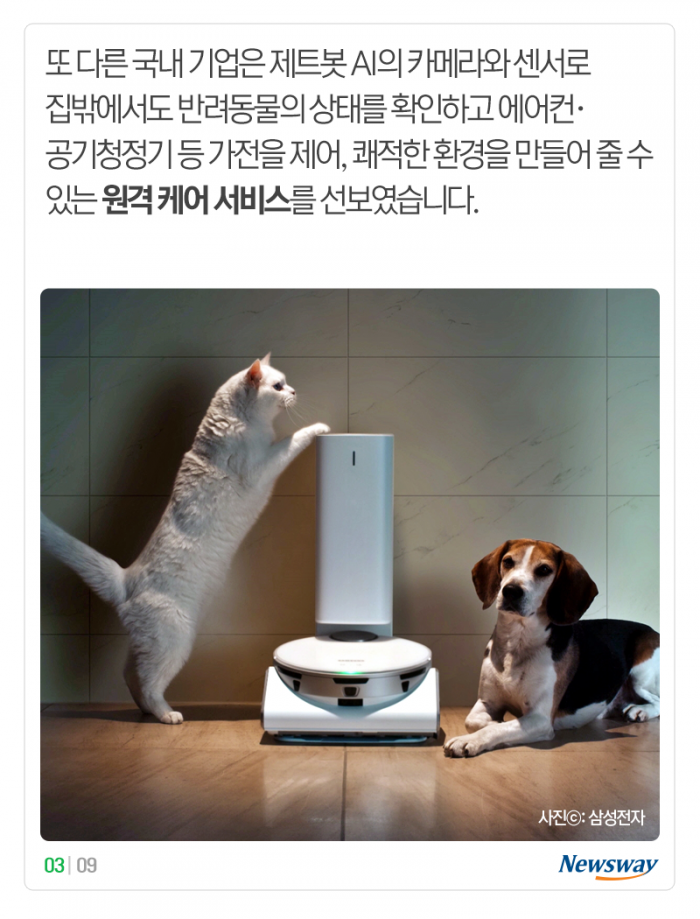 “멍멍” 개 짖는 소리, 이게 해석이 된다고? 기사의 사진