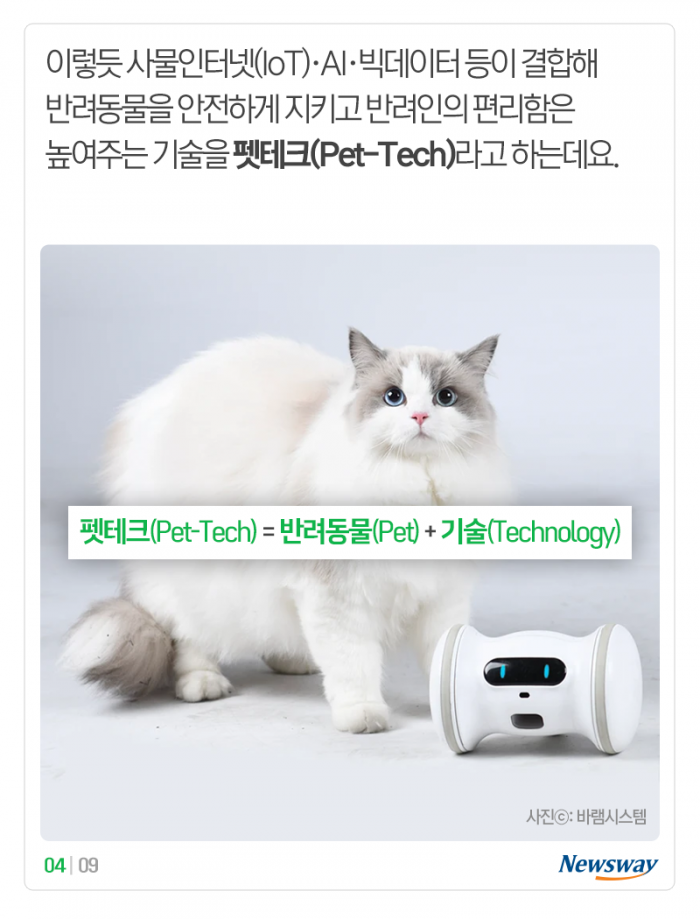 “멍멍” 개 짖는 소리, 이게 해석이 된다고? 기사의 사진