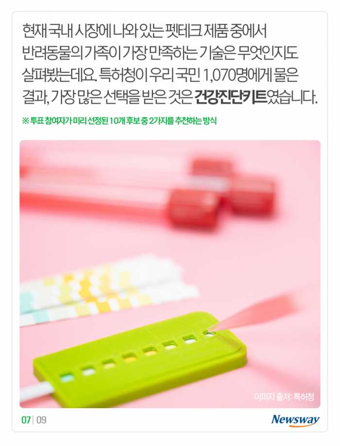 “멍멍” 개 짖는 소리, 이게 해석이 된다고? 기사의 사진