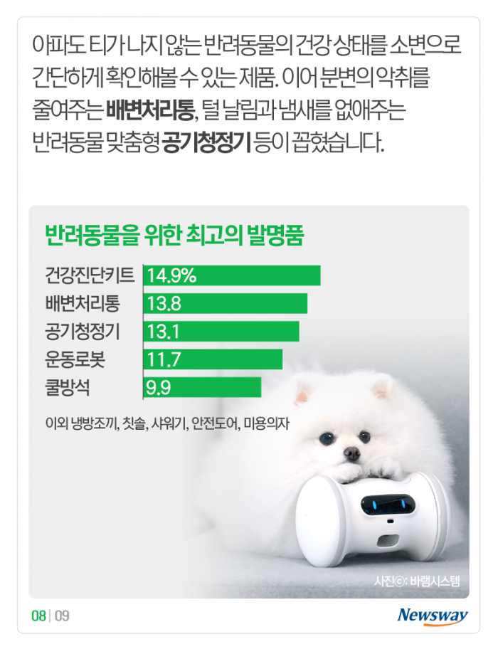 “멍멍” 개 짖는 소리, 이게 해석이 된다고? 기사의 사진