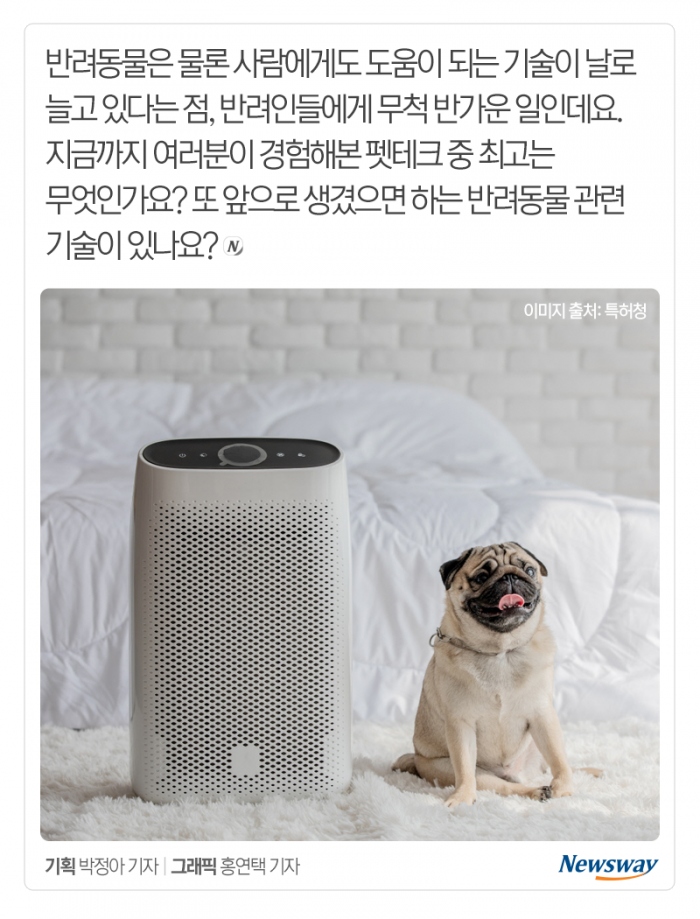 “멍멍” 개 짖는 소리, 이게 해석이 된다고? 기사의 사진