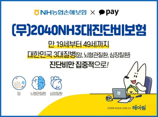 NH농협손해보험은 카카오페이와 함께 모바일 전용 상품 ‘2040 NH 3대 진단비보험’을 판매한다. 사진=NH농협손해보험