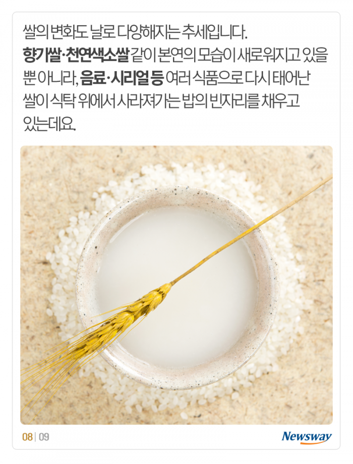 ‘밥심’ 옛말이라는데···정말 그럴까? 기사의 사진