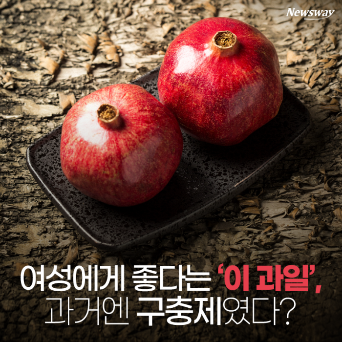 여성에게 좋다는 ‘이 과일’, 과거엔 구충제였다? 기사의 사진