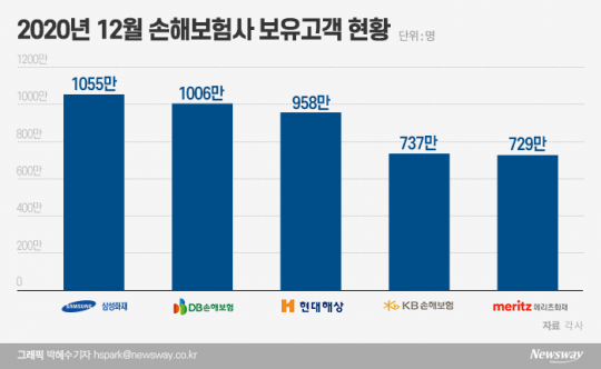 2020년 12월 손해보험사 보유고객 현황. 그래픽=박혜수 기자