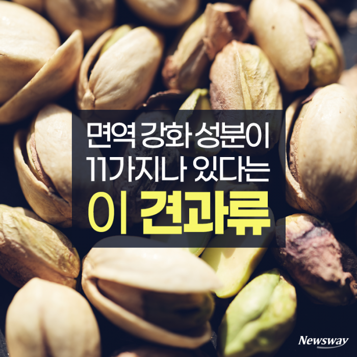 면역 강화 성분이 11가지나 있다는 이 견과류 기사의 사진