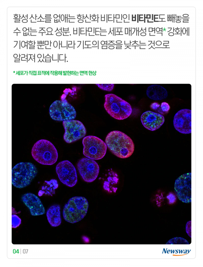 면역 강화 성분이 11가지나 있다는 이 견과류 기사의 사진