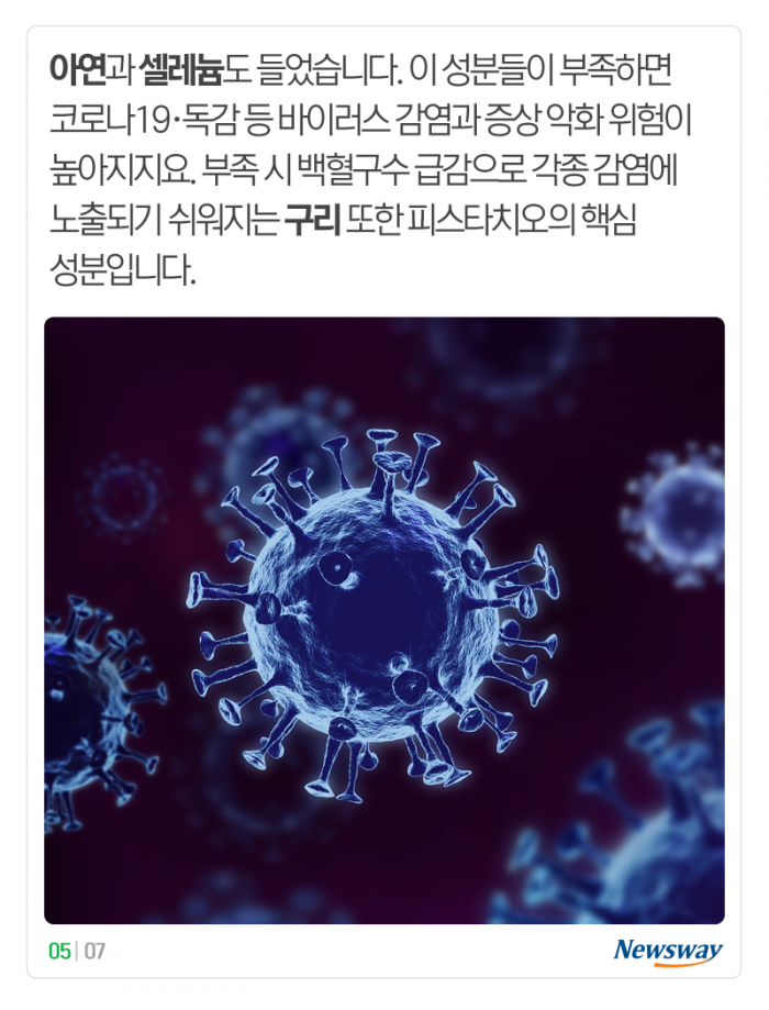 면역 강화 성분이 11가지나 있다는 이 견과류 기사의 사진
