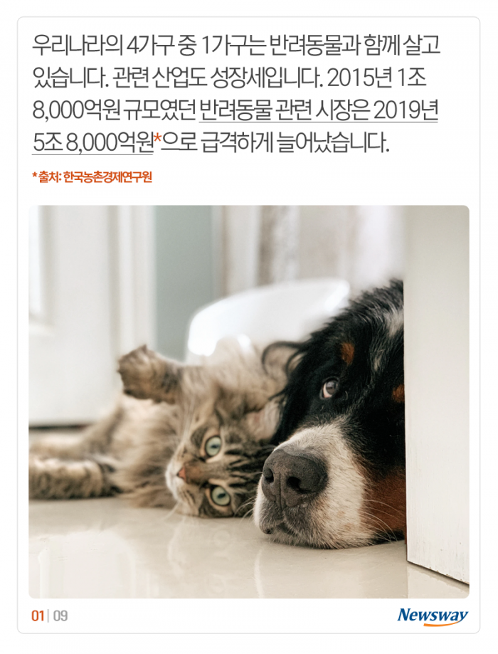 ‘설빔부터 전용 떡국까지’ 견심 노리는 유통가 기사의 사진