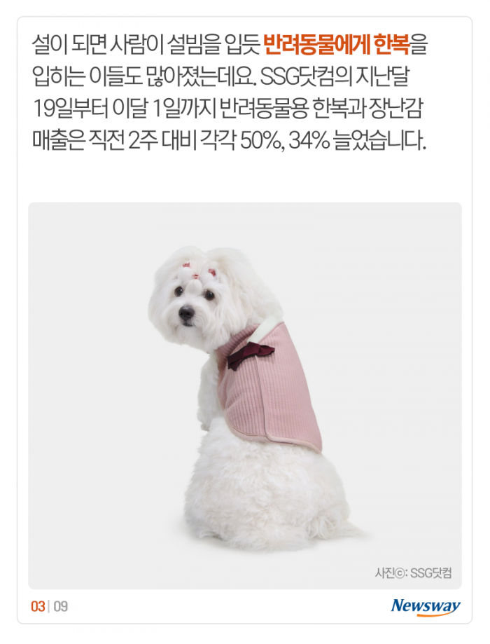 ‘설빔부터 전용 떡국까지’ 견심 노리는 유통가 기사의 사진