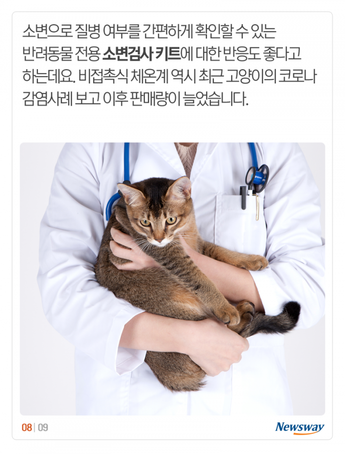 ‘설빔부터 전용 떡국까지’ 견심 노리는 유통가 기사의 사진