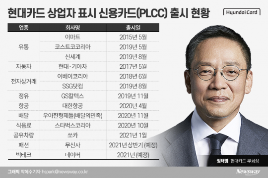 현대카드 상업자 표시 신용카드(PLCC) 출시 현황. 그래픽=박혜수 기자