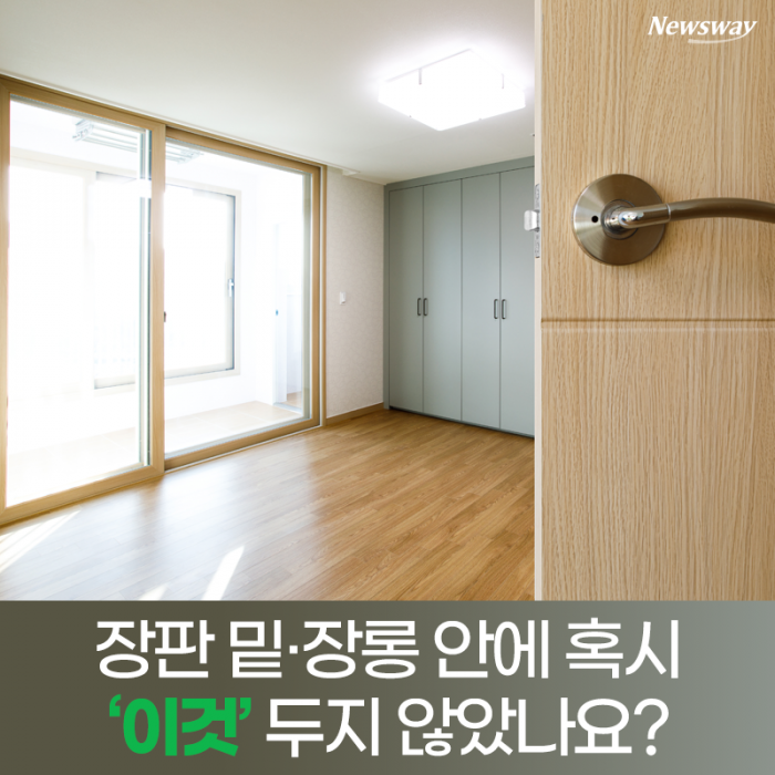 장판 밑·장롱 안에 혹시 ‘이것’ 두지 않았나요? 기사의 사진