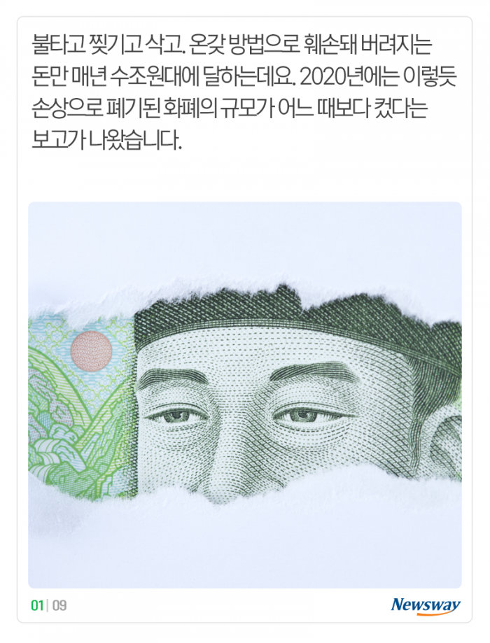 장판 밑·장롱 안에 혹시 ‘이것’ 두지 않았나요? 기사의 사진