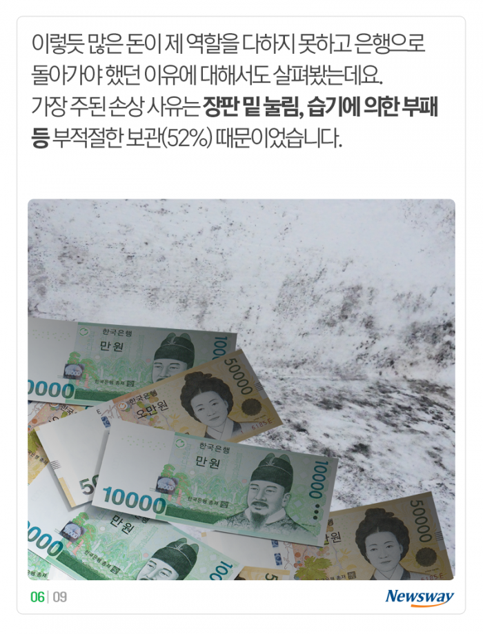 장판 밑·장롱 안에 혹시 ‘이것’ 두지 않았나요? 기사의 사진