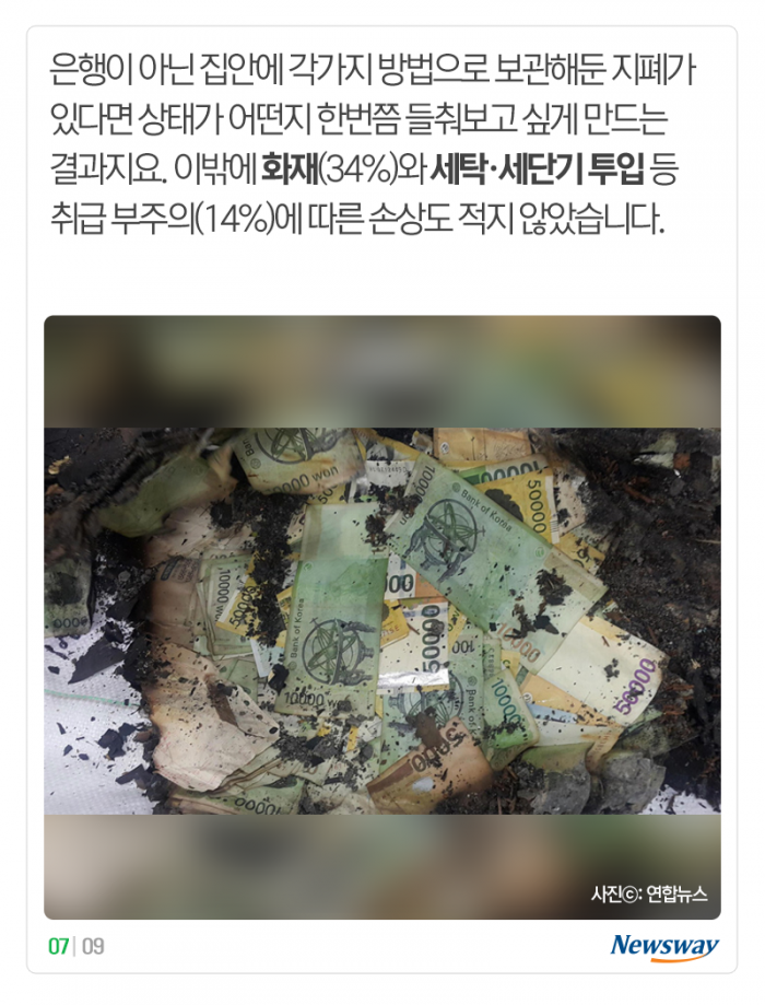 장판 밑·장롱 안에 혹시 ‘이것’ 두지 않았나요? 기사의 사진
