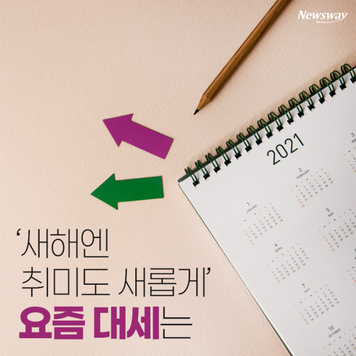 ‘새해엔 취미도 새롭게’ 요즘 대세는 기사의 사진