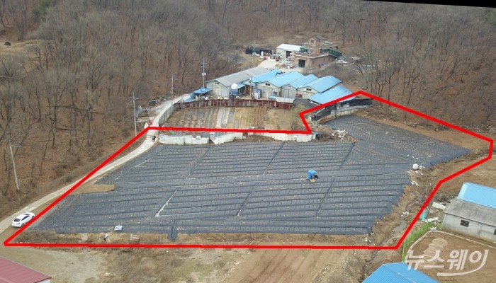 LH공사 직원 투기 의혹 경기도 시흥시 과림동 땅. 사진=이수길 기자 leo2004@newsway
