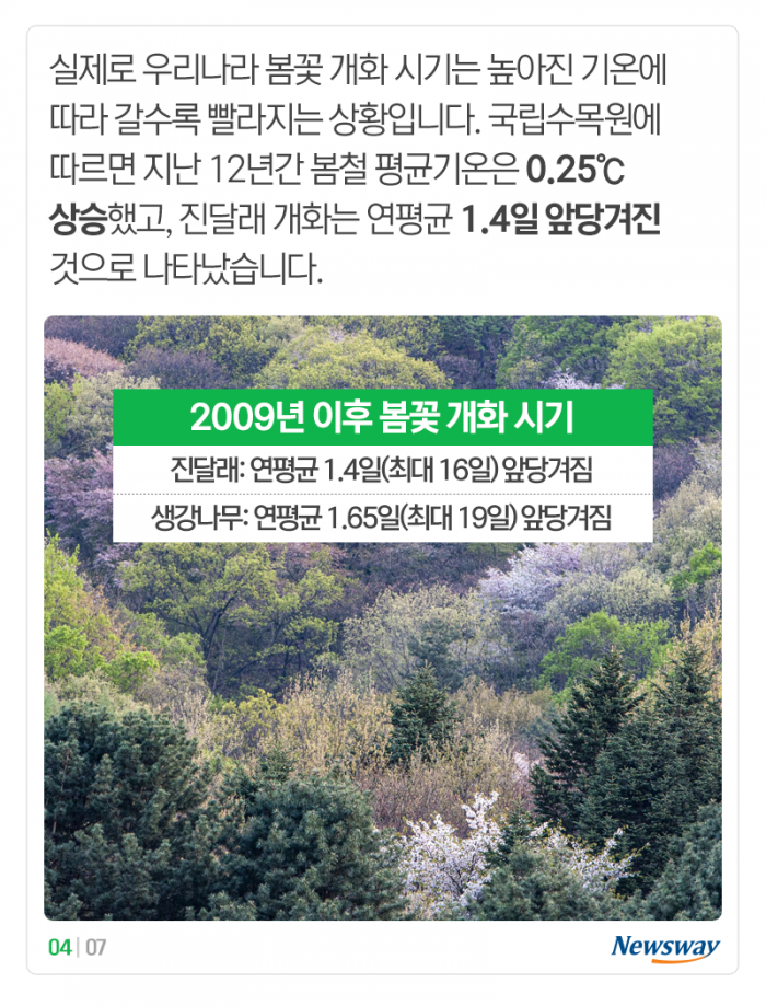 꽃 피는 날 점점 빨라지는데···‘식목일’도 바뀔까? 기사의 사진