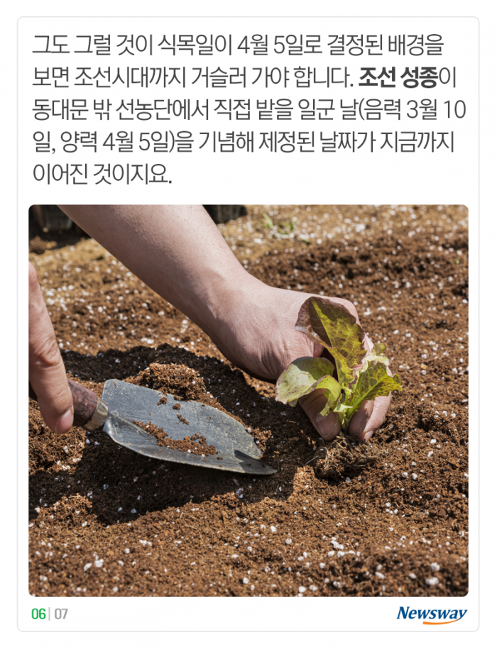 꽃 피는 날 점점 빨라지는데···‘식목일’도 바뀔까? 기사의 사진