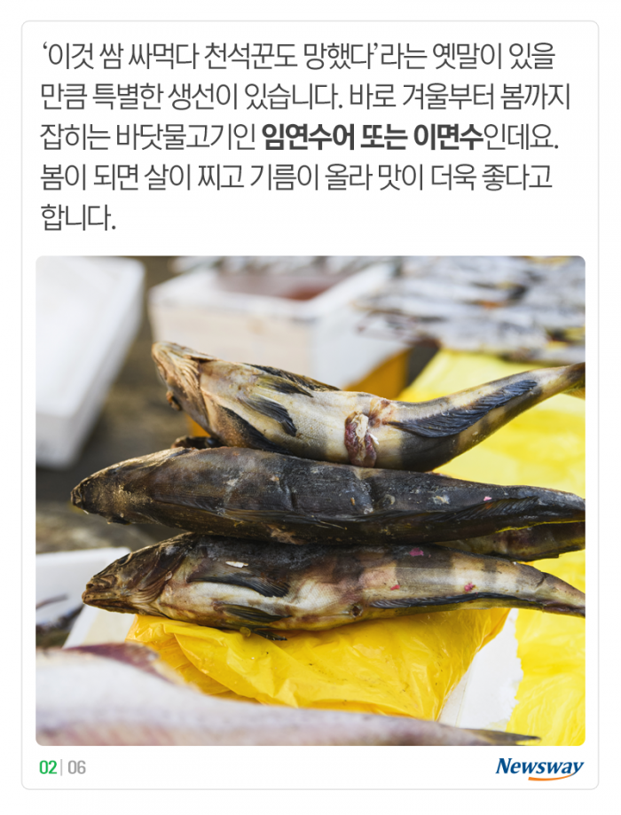 ‘나른하고 입맛 뚝’···봄에 먹으면 좋은 제철 수산물 2종 기사의 사진