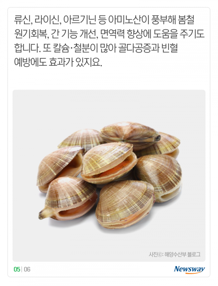 ‘나른하고 입맛 뚝’···봄에 먹으면 좋은 제철 수산물 2종 기사의 사진