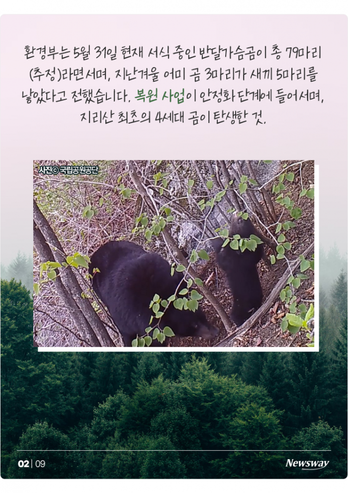 "우리도 있어요" 반달가슴곰처럼 보호받는 포유류 5종은? 기사의 사진