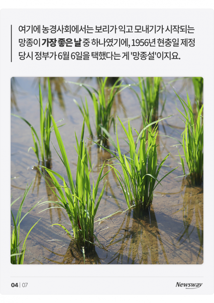 현충일은 왜 6월 6일일까? 기사의 사진