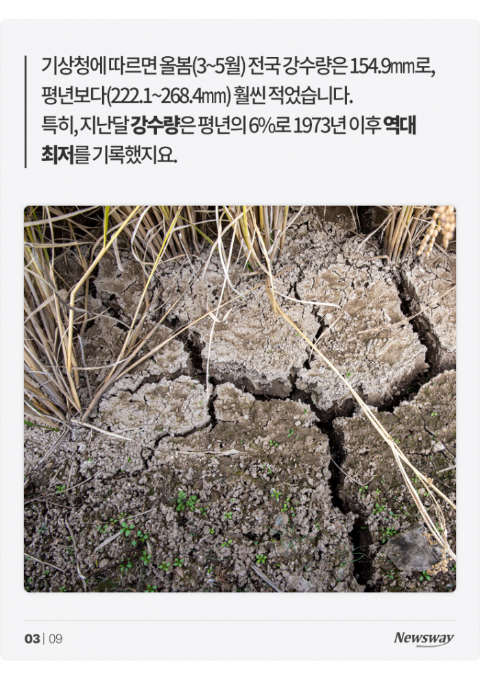 흠뻑 욕먹고 있는 싸이 '흠뻑쇼'···왜? 기사의 사진