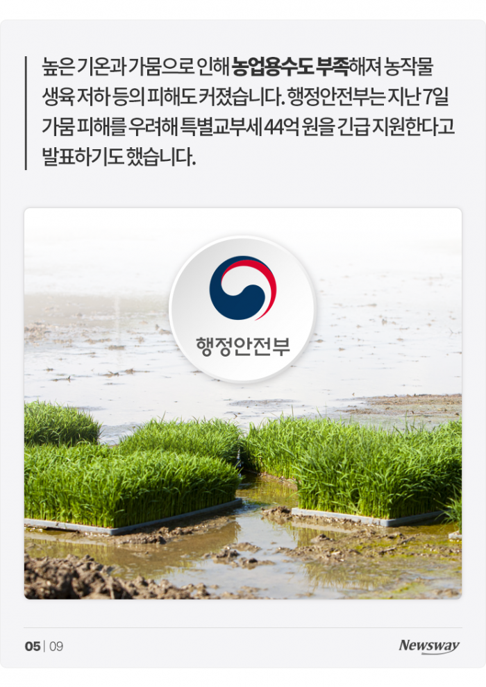 흠뻑 욕먹고 있는 싸이 '흠뻑쇼'···왜? 기사의 사진