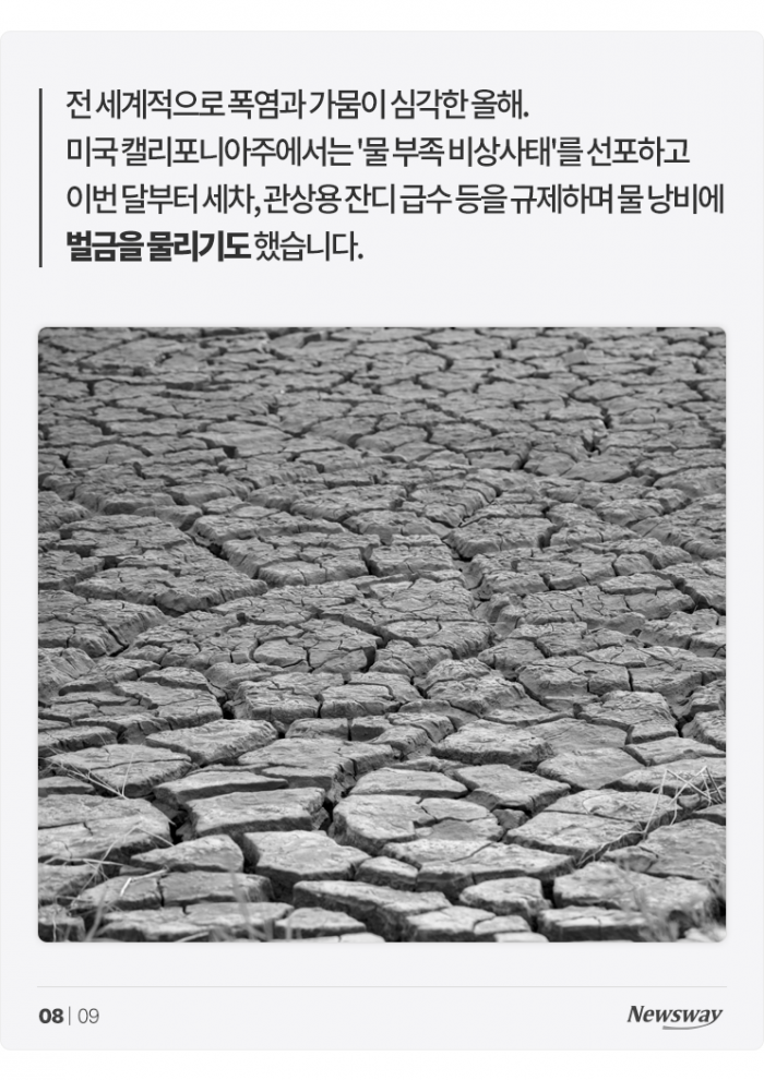 흠뻑 욕먹고 있는 싸이 '흠뻑쇼'···왜? 기사의 사진