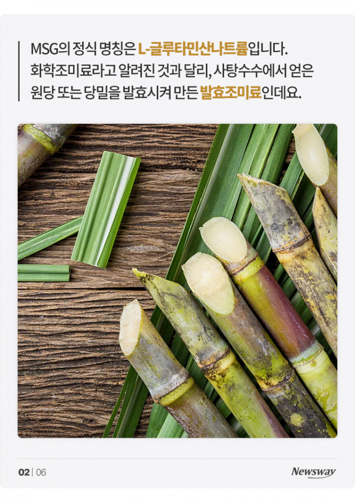 '몸에 해롭다고?' MSG는 오늘도 억울하다 기사의 사진