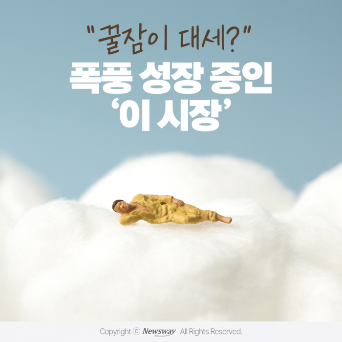 "꿀잠이 대세?" 폭풍 성장 중인 '이 시장' 기사의 사진