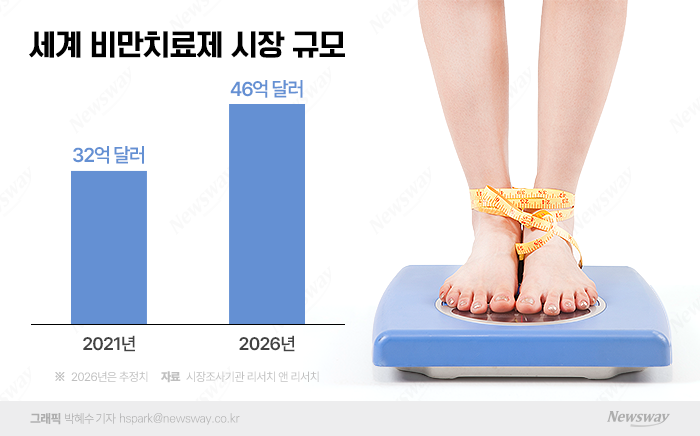 당뇨·대사질환 치료까지 한번에···'비만약' 개발 한창 기사의 사진