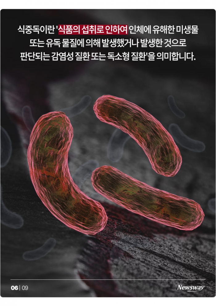 연간 손실만 1.8조라는 ○○○···지금 특히 조심해야 하는 이유 기사의 사진