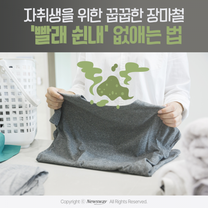 자취생을 위한 꿉꿉한 장마철 '빨래 쉰내' 없애는 법 기사의 사진