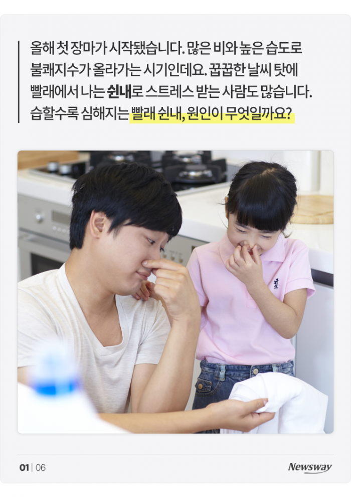 자취생을 위한 꿉꿉한 장마철 '빨래 쉰내' 없애는 법 기사의 사진